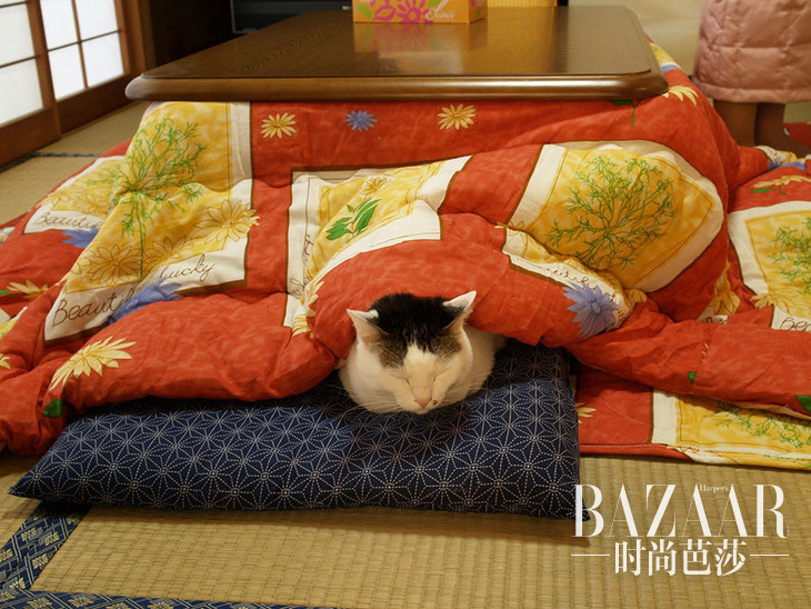 adaymag-the-kotatsu-you-will-never-want-to-leave-08