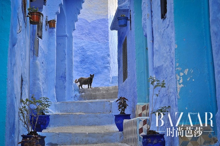 adaymag-the-absolutely-incredible-blue-city-that-came-straight-out-of-a-dream-14