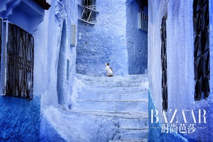 adaymag-the-absolutely-incredible-blue-city-that-came-straight-out-of-a-dream-15