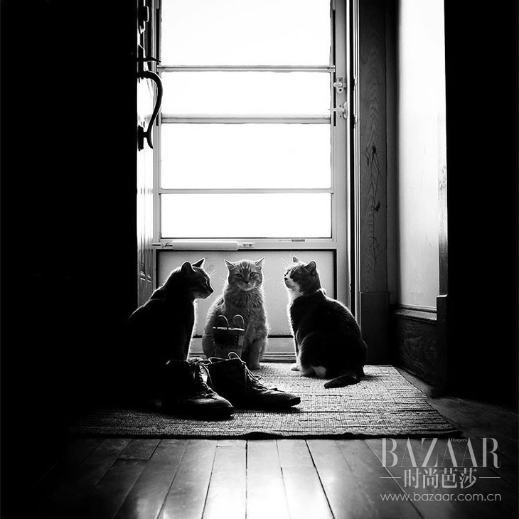 adaymag-3-cats-3gods-3kids-lovely-family-012