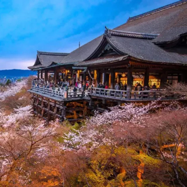 一个人旅行住宿指南 | 教你不花大钱，就能住进京都最有特色的房间