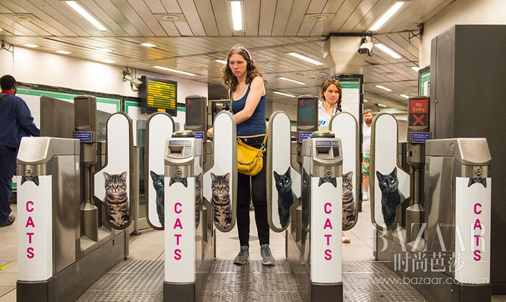cat-ads-underground-subway-metro-london-10