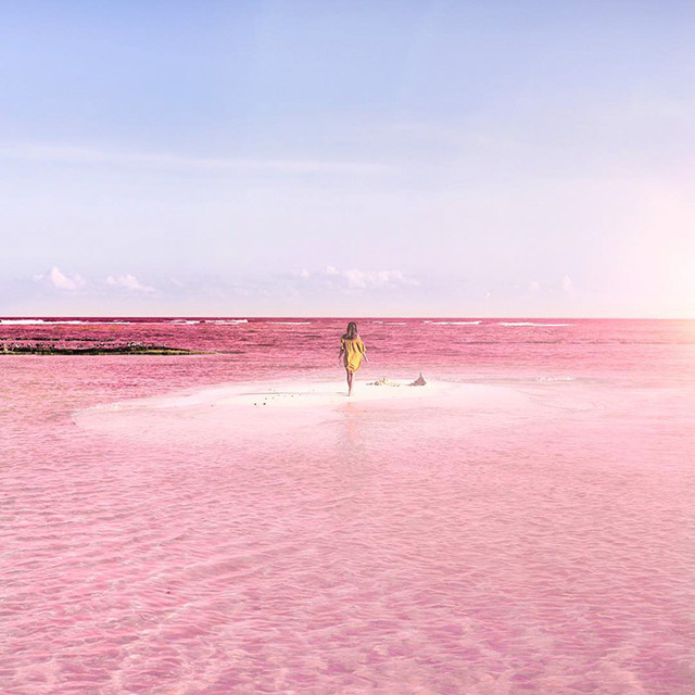 墨西哥的粉色水域，看一眼就忘不掉