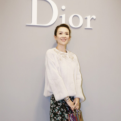 ϰ¡DIOR LADY ARTϵзƻ•