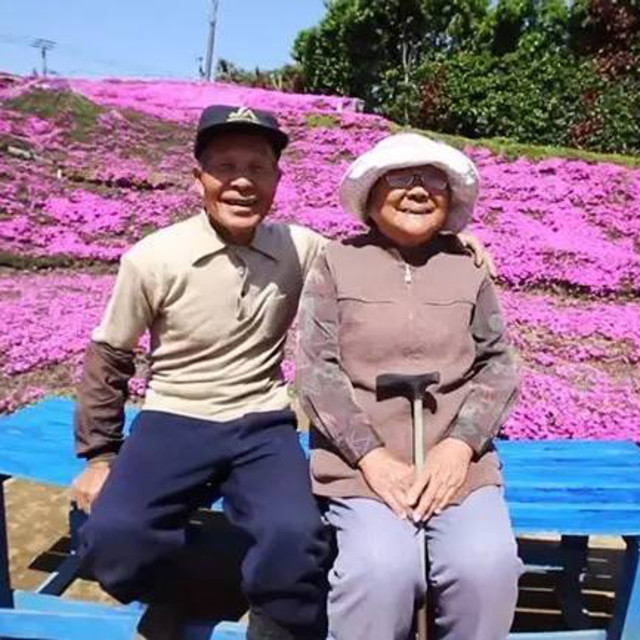 他种了上千万朵花，让失明的妻子重拾笑容