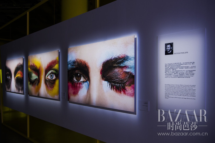 peter philips视觉艺术作品展示区域(1)
