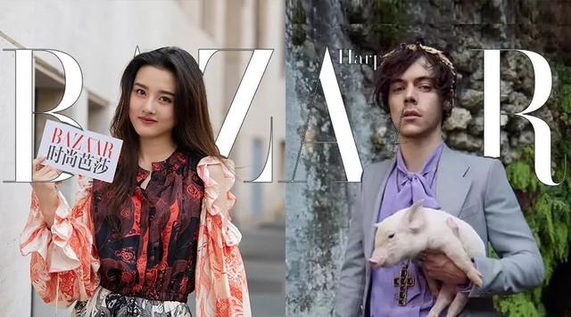 每周时报 | 宋祖儿的“妹妹”也太像她了,Harry抱完鸡来又抱猪!