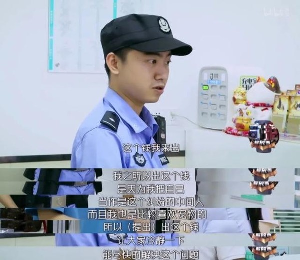 看完它,我终于开始理解他们的工作...