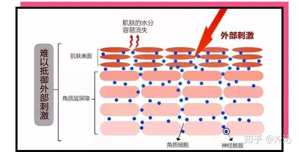 过完假期不光要添衣,护肤也做好抗冻准备吧