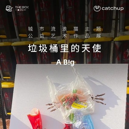“城市流浪猫公益”第二站，阿大A Big在北京展出“垃圾桶里的天使”公益艺术作品