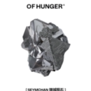 OF HUNGER ذȫ¡ʯˡӱʯAI
