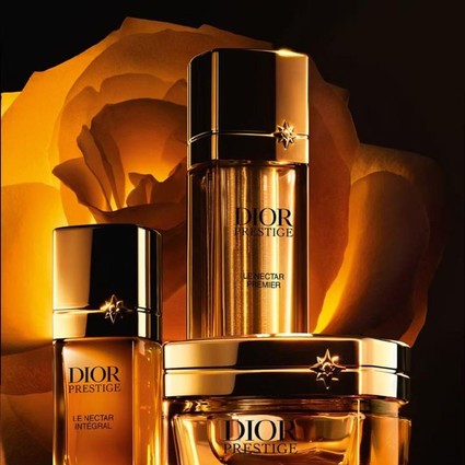 �ϰ»��ع�������ϵ�� | �������ܣ��������չ���֮��