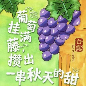 ��¶�ؼ���¶ˮ����һ�䣬�����վ���˽Ÿ�