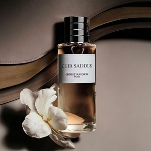 ȫ�µϰ����������ˮ | �������