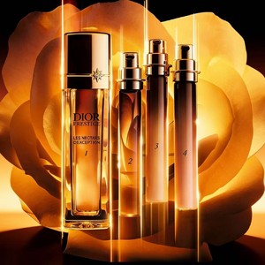 �ϰ»��ع�������ϵ�� | ���ؽ��ܣ����������������