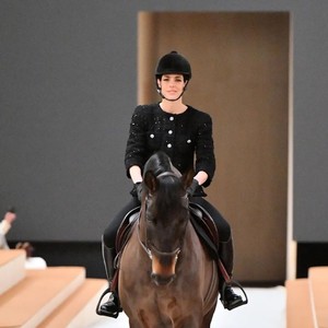 Ϊʲô����Ʒ���ܰ�Ϊ��������һƥ����