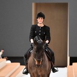 Ϊʲô����Ʒ���ܰ�Ϊ��������һƥ����