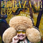 BAZAAR NEW ARTӼӵѰ֮