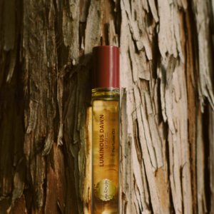 PAÑPURIƳ2026ϵ ӰQUITE ILLUMINATION  һů׵ʽԿʱתʫ֮