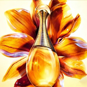 �ϰ�����Ũ���㾫 | �۸л��� ������������