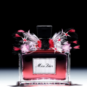 �ϰ�С������㾫�����ĵ�ذ棩 | ׿Խ���ι��� ���Ը߶�����